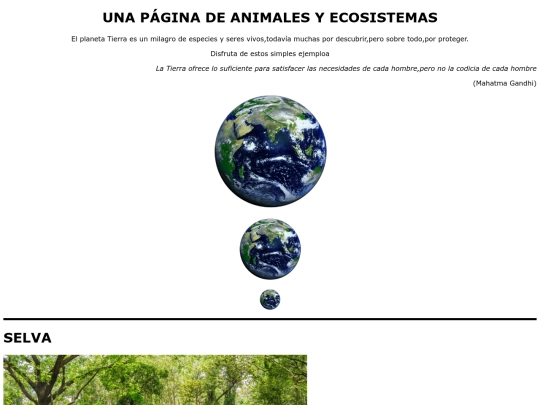 Ejercicio05/ejercicio05 screenshot