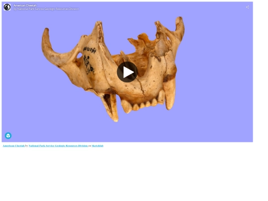 art/american-cheetah screenshot