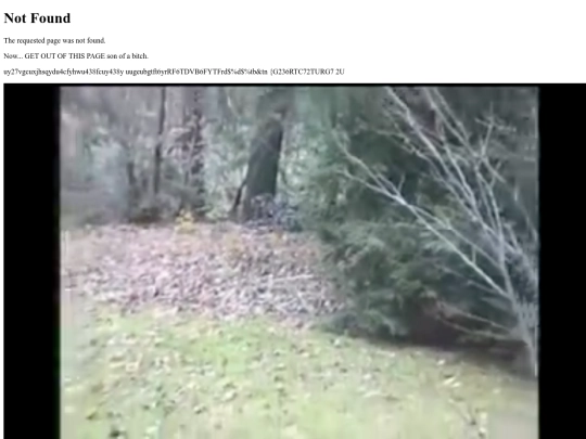 not_found screenshot