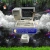 hhroses.yorniq.xyz avatar