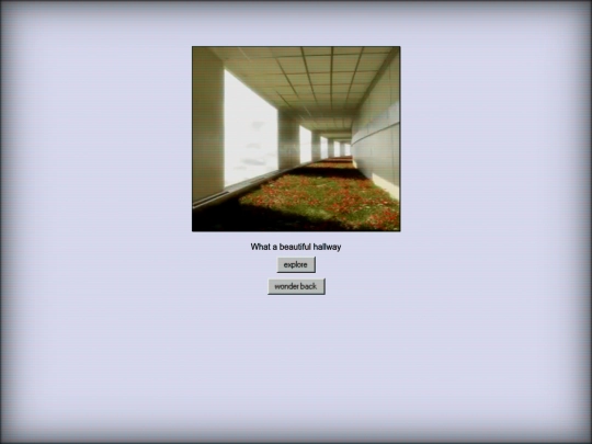 programs/the-backrooms/level0106-the-Grassrooms-EDEN/0001 screenshot
