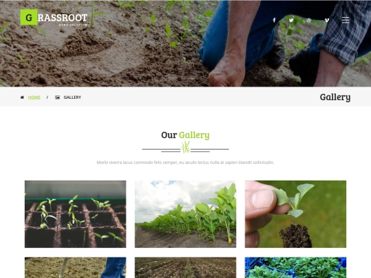 gallery screenshot