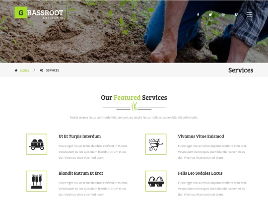 services screenshot