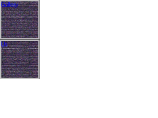 homepage screenshot