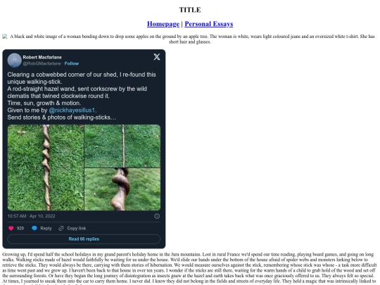 Personal Essays/walkingsticks screenshot