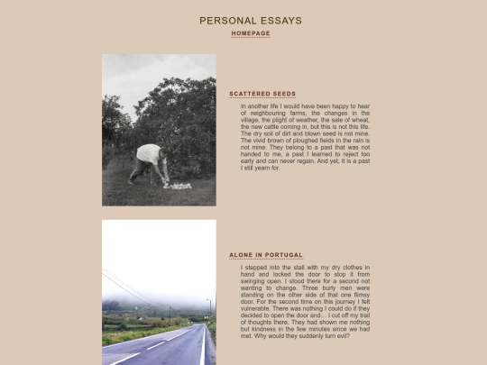personalessays screenshot