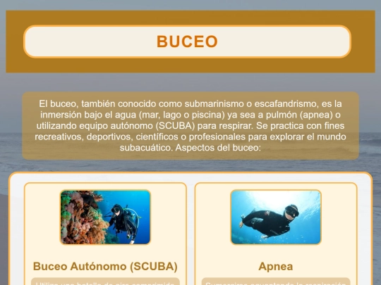 Buceocss screenshot