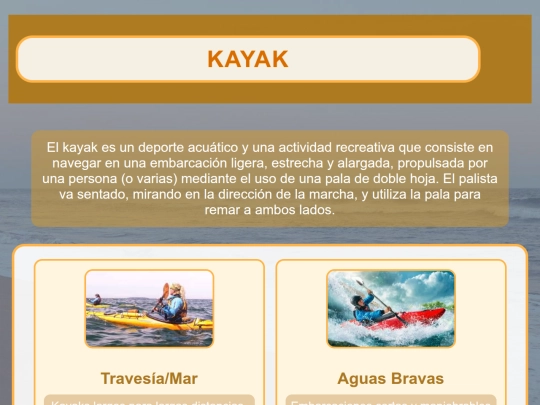 Kayakcss screenshot