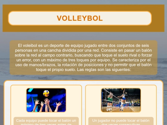 Volleybolcss screenshot