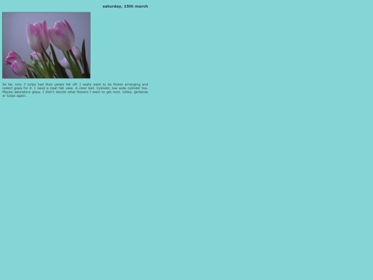 3/0315 screenshot