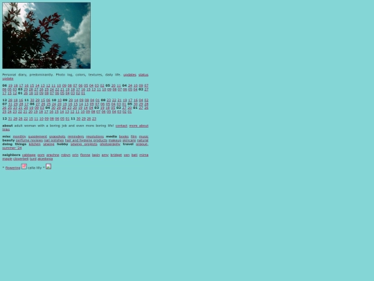 prev screenshot