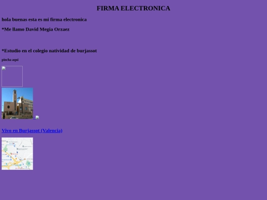 firma electronica screenshot