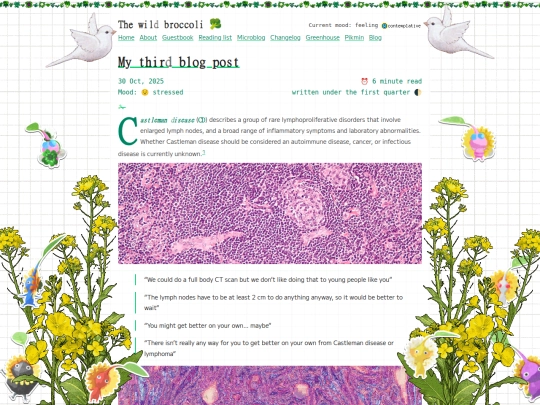 my-third-blog-post screenshot