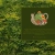 snailteapot.yorniq.xyz avatar