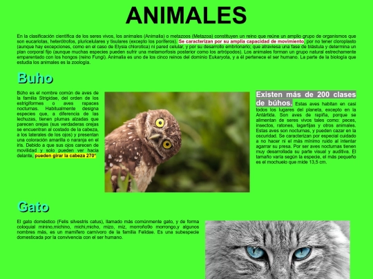 prueba/prueba screenshot