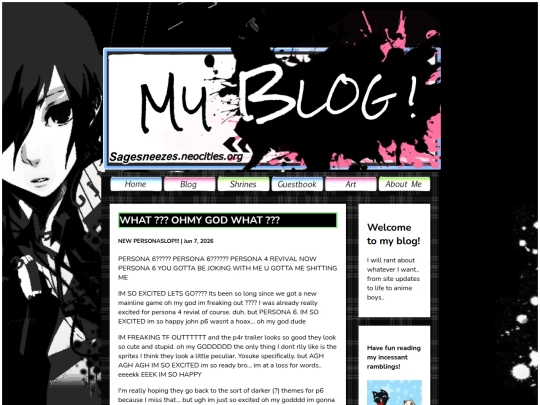 blog screenshot