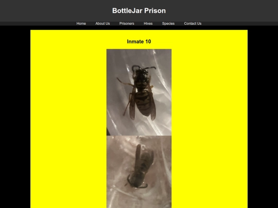 prisoners/Inmate10 screenshot