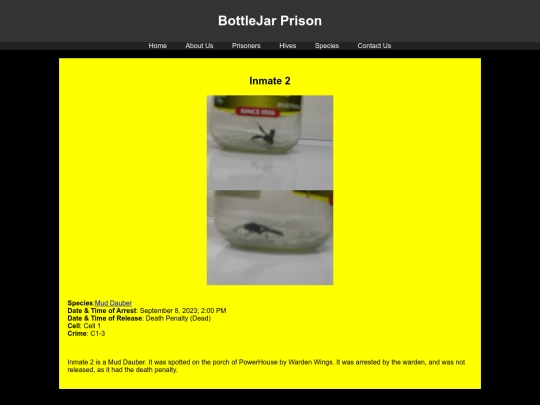 prisoners/Inmate2 screenshot