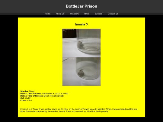 prisoners/Inmate3 screenshot