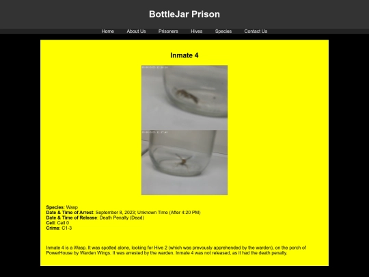 prisoners/Inmate4 screenshot