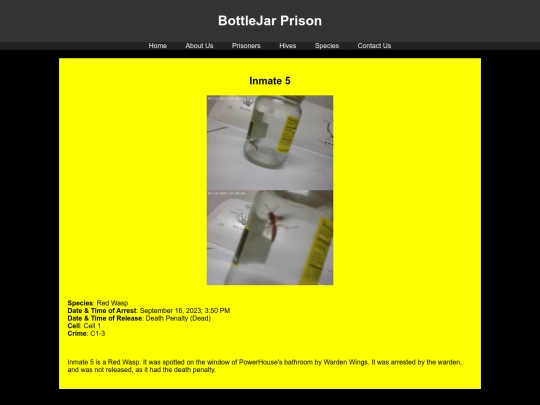 prisoners/Inmate5 screenshot
