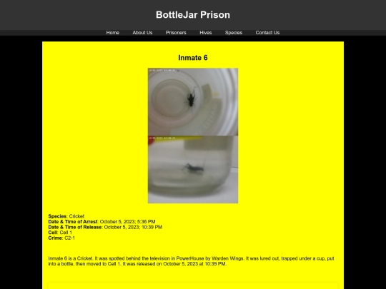 prisoners/Inmate6 screenshot