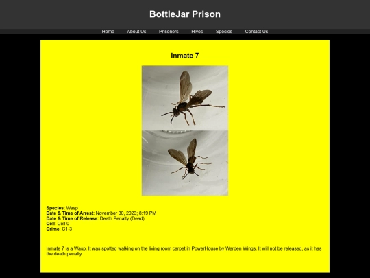 prisoners/Inmate7 screenshot