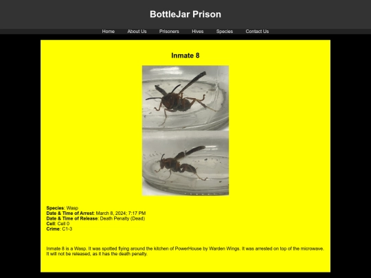 prisoners/Inmate8 screenshot