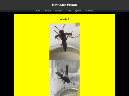 prisoners/Inmate9 screenshot
