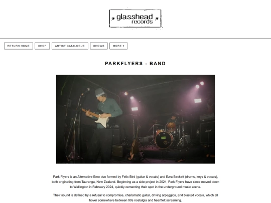 artist's/parkflyers screenshot