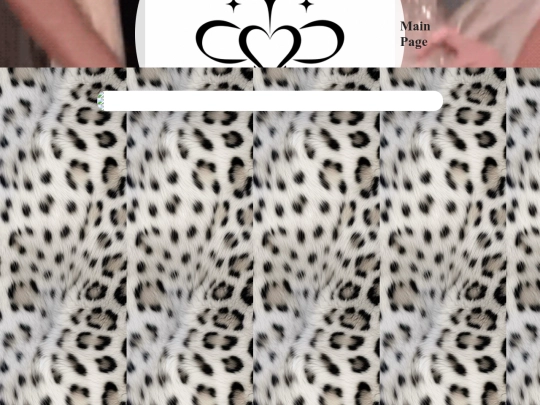 magnetic screenshot