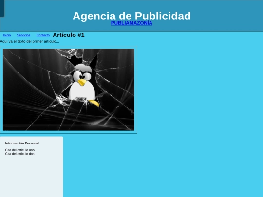 PubliAmazonia/html/servicios screenshot