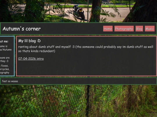 blog screenshot