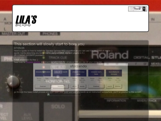 blog screenshot