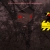 DECAY'S DOOR avatar
