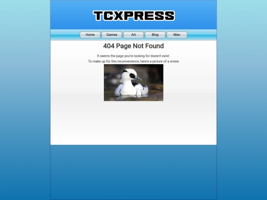 404 screenshot
