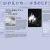 WORD SOUP avatar