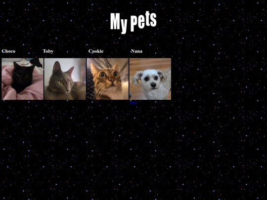 pets screenshot