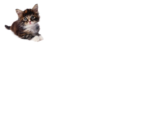 animation4 screenshot