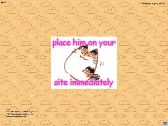 cat screenshot