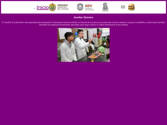 img/403 screenshot