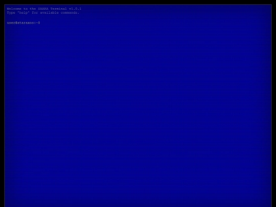 terminal screenshot