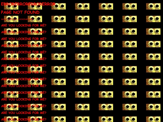 ERROR screenshot