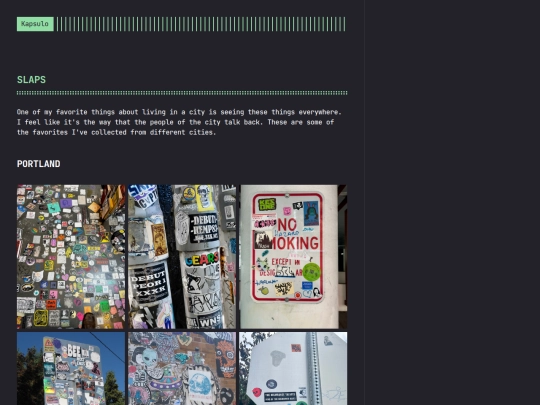 kapsulo-files/slaps screenshot
