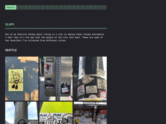 kapsulo/output/slaps screenshot