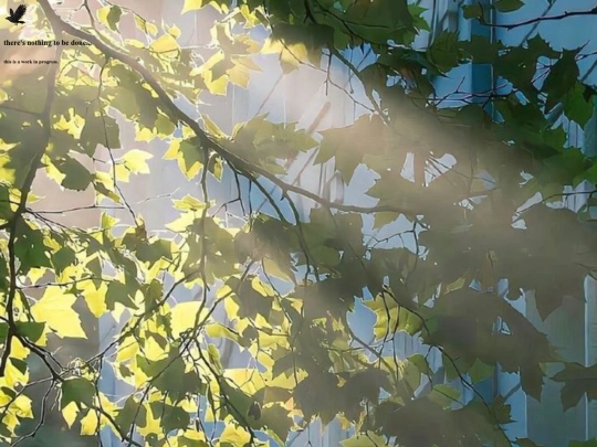 secret-area-of-trees/thoughts screenshot