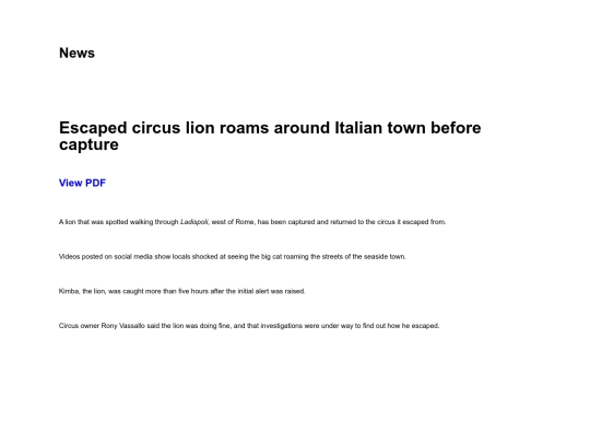 news-detail screenshot