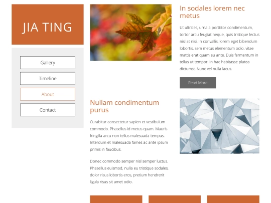 TING/about screenshot