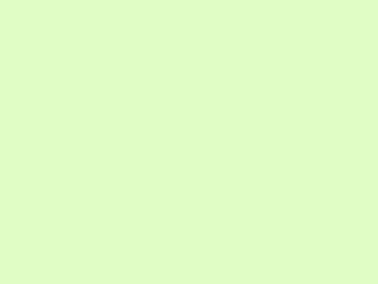 tamo screenshot