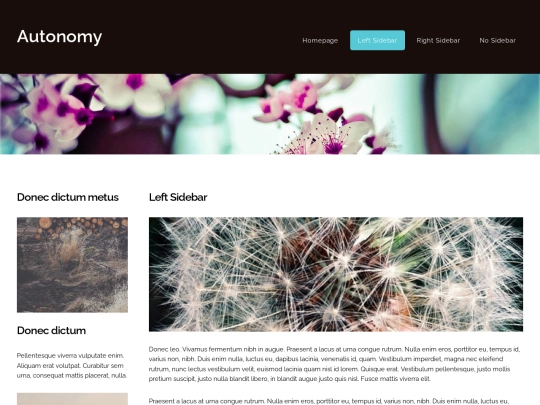twocolumn1 screenshot